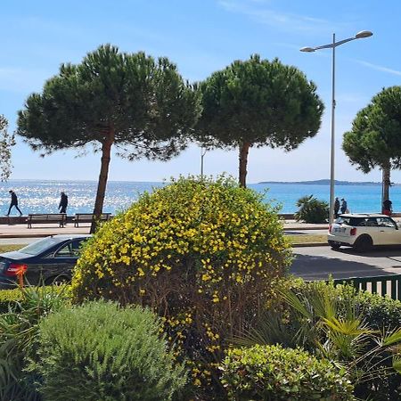 Studio De La Plage - Mer, Terrasse Et Garage Cagnes-sur-Mer Eksteriør billede