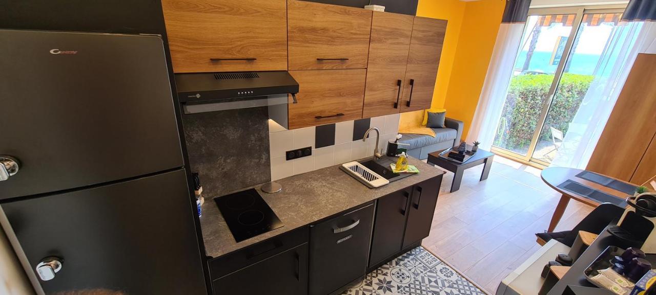 Studio De La Plage - Mer, Terrasse Et Garage Cagnes-sur-Mer Eksteriør billede