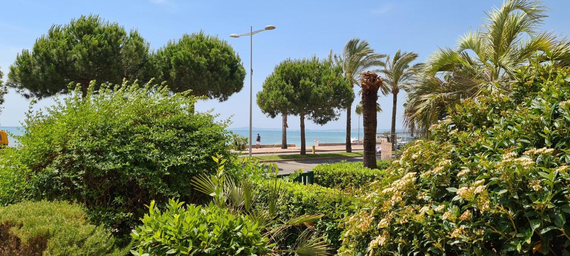 Studio De La Plage - Mer, Terrasse Et Garage Cagnes-sur-Mer Eksteriør billede